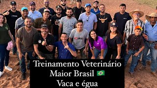 Curso treinamento veterinário [upl. by Eidnarb328]