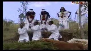 Amin Husen Baalen bua Oromo Music [upl. by Kylah281]