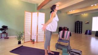 Best Prenatal Yoga DVD MOMMY DOES YOGA All Trimesters Beginners Advanced with Julie Schoen [upl. by Marcille]