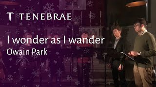 I wonder as I wander  Owain Park  Tenebrae Associate Artists 2018 [upl. by Nedyah]