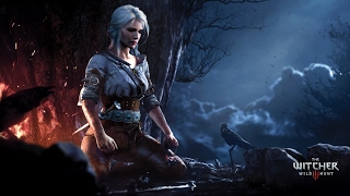 The Witcher 3 Wild Hunt  El rescate de Fringilla Vigo [upl. by Bijan]