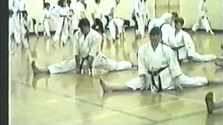 Zanshin Kai Glasgow Scotland Shotokan Karate exam [upl. by Enidlarej]