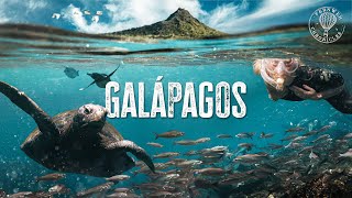 Galapagos Islands  How is this Real Life [upl. by Duncan]