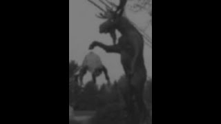 Unnerving images but with the Demogorgon theme from Stranger Things [upl. by Gala798]