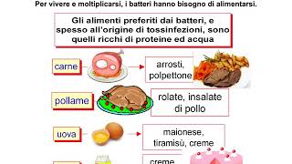 Microrganismi patogeni e meccanismi di contaminazione biologica [upl. by Stephenson438]