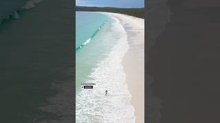 Summertime Hyams Beach Australia Most beautiful white sand beach sydney travel beach shorts nsw [upl. by Mccullough234]