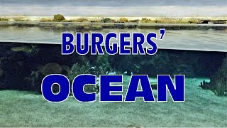 Burgers Zoo Ocean [upl. by Yrekcaz]