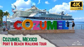 Cozumel Mexico  Walking Tour  International Cruise Terminal Port Shopping amp Beach Walks [upl. by Nerak338]