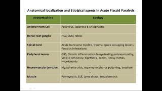 A Class On ACUTE FLACCID PARALYSIS By Dr Vasundhara Dept Of Pediatrics [upl. by Hoy]