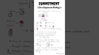 Cell differentiation and specialisation  Cell differentiation  Cell specialization determination [upl. by Dorsman]