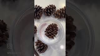 Easy DIY snow covered pinecones tutorial  Snow covered Pinecones Bleached Pine Cones [upl. by Trevor11]