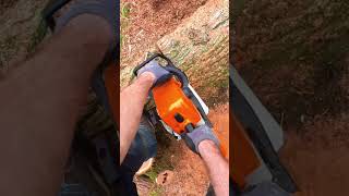 world sawyer  shorts High speed pruning [upl. by Eddana]