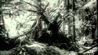 WWII VAS Series Guadalcanal Newsreel Documentary [upl. by Seagrave72]