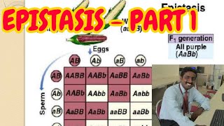 EPISTASIS PART 1  TAMIL EXPLANATION [upl. by Eldin]