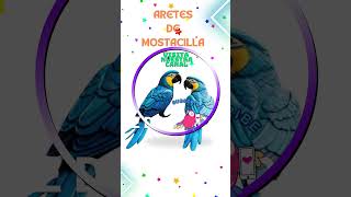 Aprende a hacer aretes de mostacilla de guacamayo [upl. by Aduhey]