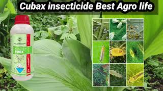 Cubax insecticide Hexythiazox 545 SE Best Agro life [upl. by Falo555]