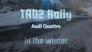 TA02 rally car driving in winter [upl. by Leith]