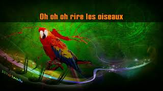 La Compagnie Créole  Ça fait rire les oiseaux chœurs 1988 BDFab karaoke [upl. by Ruskin336]