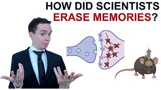 How did scientists erase memories Eng subs [upl. by Naejamron]