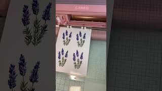 Cutting Lavender Print and Cut on Silhouette Cameo 4 [upl. by Farrand]