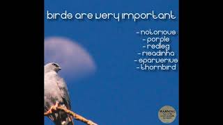 Birds Are Very Important FULL EP REUPLOAD [upl. by Wahl956]