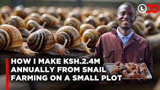 How snail farming in a small piece of land makes me great profits and why I cannot meet the demand [upl. by Nangatrad591]