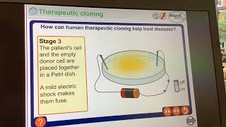 KS4GCSEBiologytherapeutic cloning [upl. by Gupta]