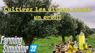 Comment cultiver les olives  oliviers dans Farming simulator 22 [upl. by Eibreh745]