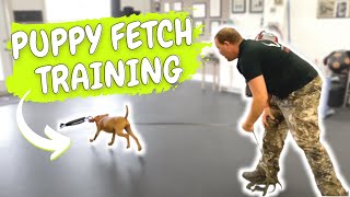 VIZSLA PUPPY TRAINING  Teach Fetch Using Toys and Food [upl. by Julee]