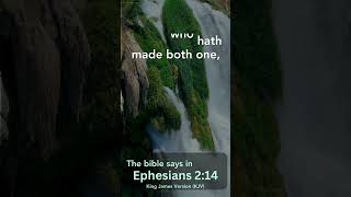 Ephesians 214  Day249  Daily Bible Scripture [upl. by Esnahc]