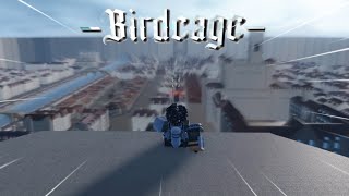 My First Month in Birdcage Birdcage [upl. by Aknayirp846]