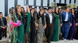 best Kurdish wedding 2023  best kurdish dance 2023 [upl. by Mill]