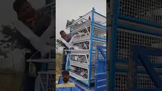 pigeon racingpigeonloft birds oneloftrace farming pigeonracing birdlovers racingpegion vlog [upl. by Aneelahs]