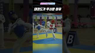 Why Taekwondo Is Scary 태권도 [upl. by Fontana998]