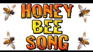 🐝 Honey Bee Song 🐝 Childrens Song 🐝 Bee Song 🐝 Jon Brooks Music [upl. by Enytsuj716]