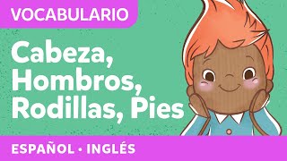 Cabeza hombros rodillas y pies  Canciones para niños pequeños  Spanish songs for littles [upl. by Pauli]