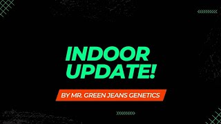 Indoor Update [upl. by Eedia]