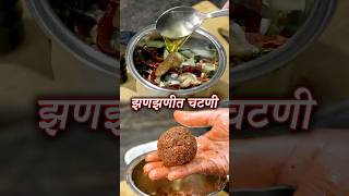 एकदा चटणी बनवुन पहा रोज जेवताणा हीच चटणी मागाल  Jhanjhanit Chutney  Latika Nimbalkar [upl. by Tamar408]