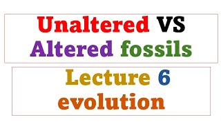 Unaltered Vs Altered fossils [upl. by Coop1]