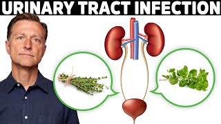 1 Best Remedy for a UTI Urinary Tract Infection [upl. by Lebbie]