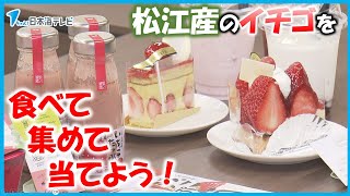 【松江いちごスイーツパラダイス】松江産のいちごを食べて、スタンプを集めて、景品を当てよう！ 島根県松江市 [upl. by Leihcim187]