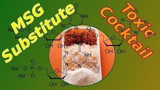 What is Disodium Inosinate and Guanylate  MSG Substitute  Food Label Ingredients [upl. by Alaj]