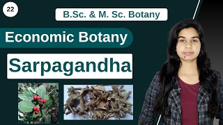 Economic Botany  Medicinal Plants  Sarpagandha  Rauvolfia serpentina  B Sc amp M Sc [upl. by Eseenaj]