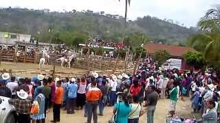 Jaripeo pisaflores ixhuatlan de madero Veracruz 20 [upl. by Erkan]