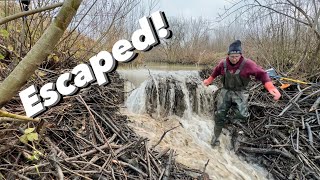 Just in Time To Escape BEAVER DAM Collapse [upl. by Lytton]