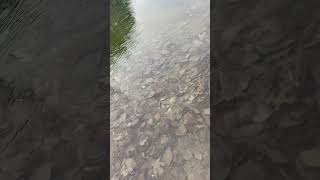 MASSIVE ICE SHEET DESTROYS POND‼️‼️‼️⚠️⚠️⚠️😱😱😱🥶🥶🥶 [upl. by Nivalc941]