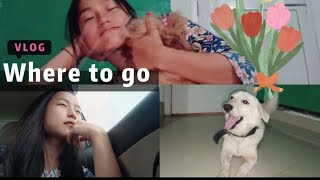 playing with my cousin dogdengaonnortheastvlogs assam [upl. by Lednyc]