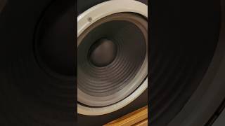 Speaker Not Blown Woofer Foam Surround Dry Rot [upl. by Etnad]