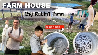 Rabbit Farm near Nalgonda amp Fish Farming Plans and planning for giveaway 🎁 fishfarming hindi [upl. by Ynettirb]