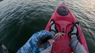 Fall Kayak Fly Fishing Lake Bastrop Texas [upl. by Gerek]